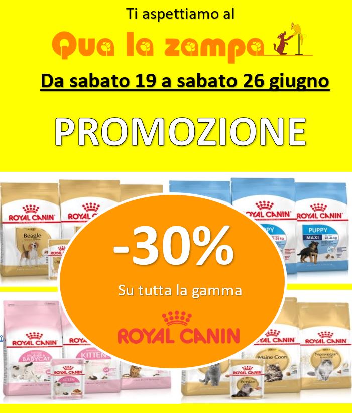 Qua la Zampa | Biasca