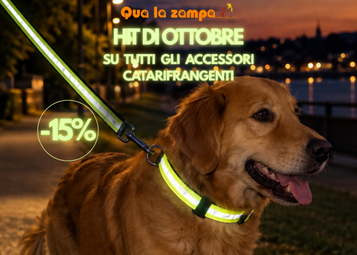 Arancione e Turchese Giocoso Black Friday Sconti per Cani Post di Instagram (Post di Twitter)